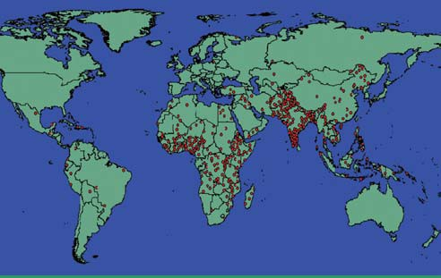 Mortalité Estimated global distribution of 440,000 annual deaths in children caused by rotavirus