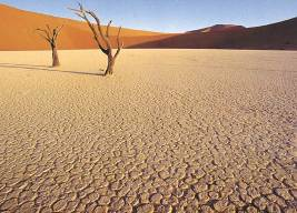 J 14 : Sesriem-Sossusvlei- Wolvedans (Desert du Namib) Départ avant le lever du soleil et petit déjeuner dans les dunes.