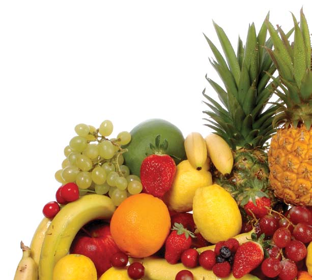 Synergica Ligne aux Fruits Une