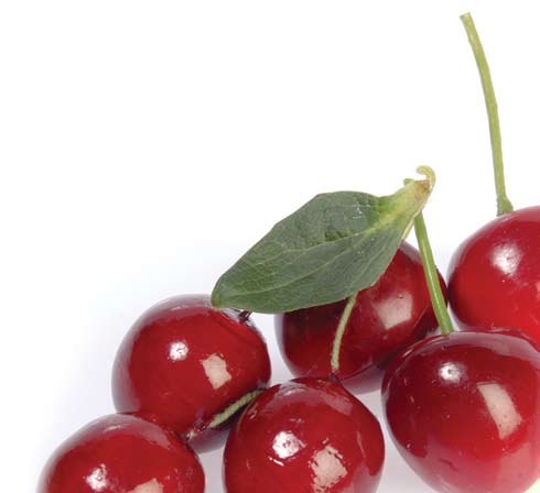 Le fruit La Cerise Griotte contient des polyphénols qui sont de puissants agents antioxydants et anti-radicaux libres. Elle aide a combattre efficacement le vieillissement précoce de la peau.
