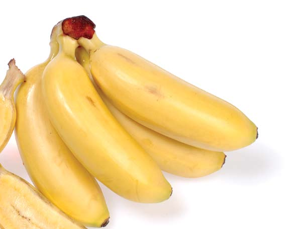 SYNERGICA GELATINE BANANE Formule Hydratante Le fruit La Banane est un fruit riche en potassium, un puissant facteur hydratant pour la peau.