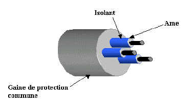 Le câble multiconducteurs : c'est un ensemble de plusieurs conducteurs électriquement distincts et mécaniquement solidaires, mais comportant une ou plusieurs gaines de protection commune ( voir