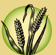 Agriculture Biologique Campagne 2013-2014  Midi-Pyrénées