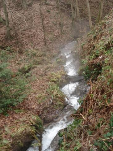 zones sensibles seront mis en place Prise en compte du Milieu Naturel: Le chantier traverse le territoire du Parc National des Vosges du Nord