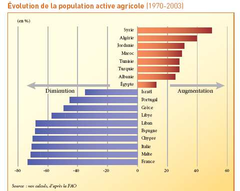 Démographie 39 millions d actifs agricoles en Med. (dont 87% au Sud) Soit un hab.