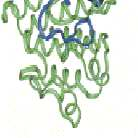 Imatinib : Action ciblée et spécifique Inhibition compétitive avec le site de liaison de l ATP du domaine tyrosine kinase de la protéine BCR-ABL ATP ATP ADP