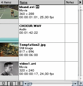 Timecode / Frames / Pieds Vidéo : - compresseur (Codecs) : - taux de compression (100 %) - taille d'image (384 x 288) / proportions d'image (4:3) et de pixel (1.