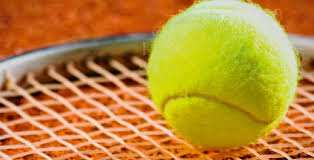 88 - Rens : 0647126204 Tournoi de tennis international féminin doté de 100000 3ème tournoi français sur
