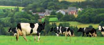 Parmi toutes les possibilités de combinaisons techniques en bâtiments d élevage de vaches laitières (VL) ou de vaches allaitantes (VA), les consommations de références ont été calculées avec des