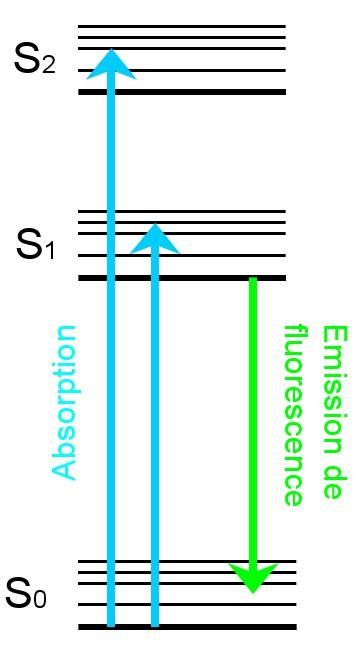 La différence de longueurs d onde entre les maximums d absorption et d
