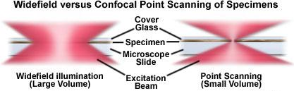 améliorations techniques permettant la réalisation de coupes optiques.