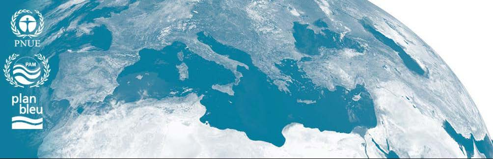 Programme «déchets» 2009-2012, l analyse des flux de matières en Méditerranée Les dynamiques en cours en Tunisie