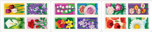 13 11 12 485 TAD conçu par Séverin Millet Carnet «Dites-le avec des fleurs!» Une fleur est associée à l expression d un sentiment et sa couleur joue un rôle important dans le message à faire passer.