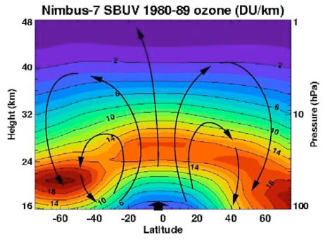 Evolution de la couche d ozone Ozone stratosphérique - 1 Introduction STRATOSPHERE TROPOSPHERE profil thermique bilan