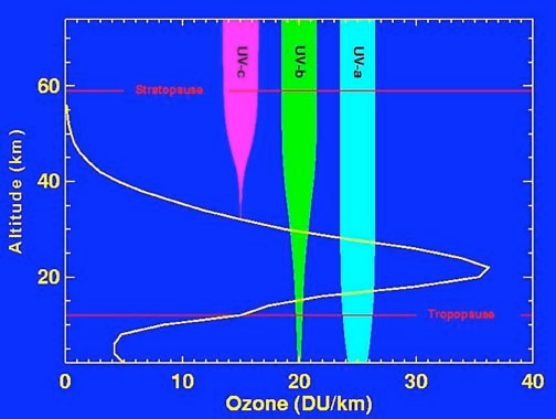 1. Distribution de l ozone stratosphérique 1.1 Distribution verticale de l ozone Fig. 4 : Pénétration du rayonnement UV dans l atmosphère. Ozone stratosphérique - 7 1.