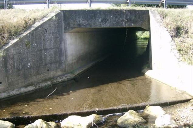 Photographie 3 : exemple de pont provisoire mis en place en phase chantier, préservant le lit mineur et les berges du cours d eau.