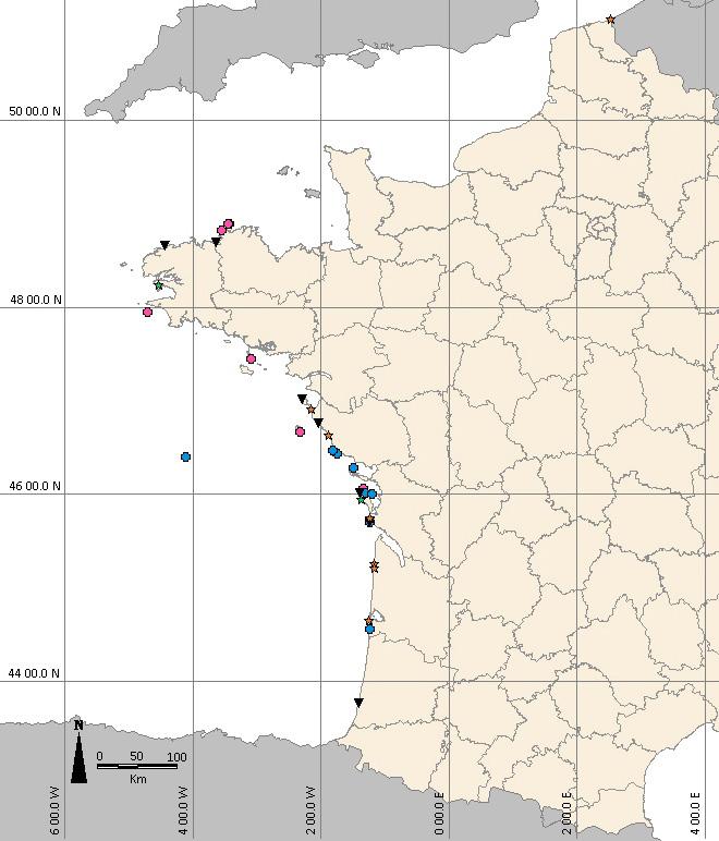 677 Figure 2 - Positions géographiques des observations de Dermochelys coriacea en mer ( ) et échouées ( ), de Lepidochelys kempii ( ), de Caretta caretta ( ), de Chelonia mydas ( ) et de Mola mola (