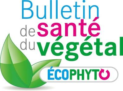 Retrouvez gratuitement le BSV toutes les semaines sur les sites Internet de la Chambre d agriculture de Champagne-Ardenne : http://www.champagrica.fr/-16-bsvet de la DRAAF : http://www.draaf.