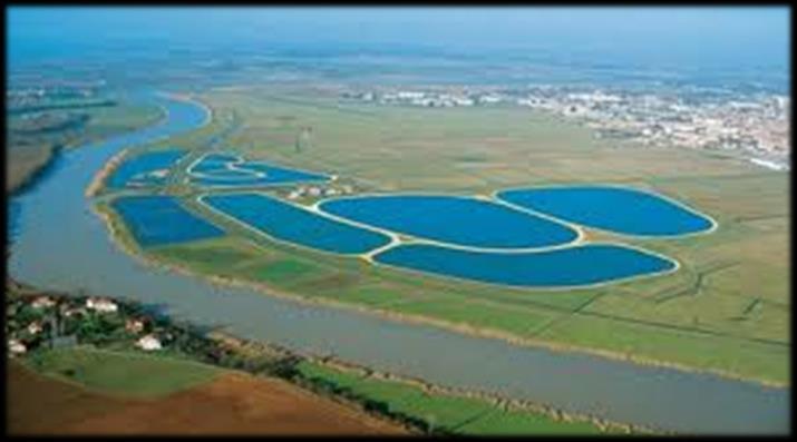Le lagunage 2 grands types de filière à travers le monde: Filière 1 : lagune anaérobie + lagune