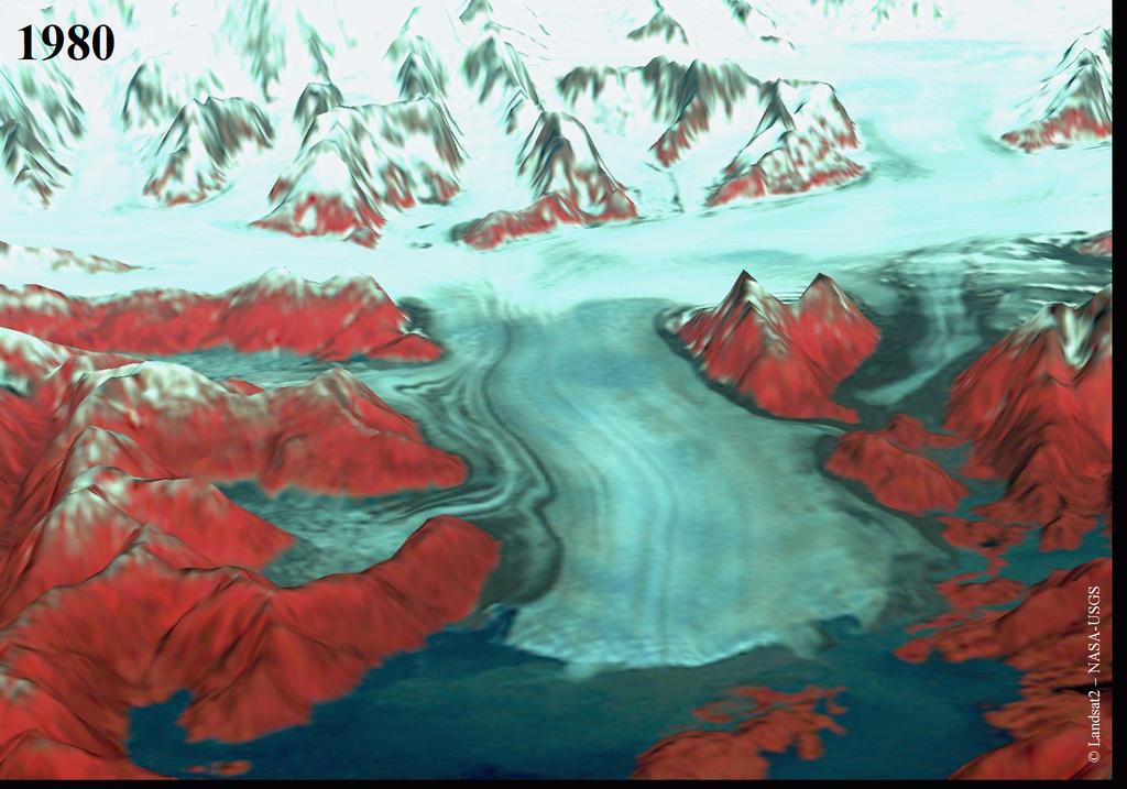 Amincissement des glaciers d Alaska 300 m 15 km Recul et