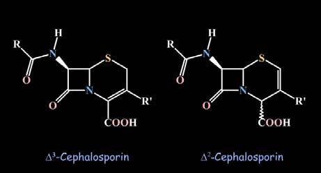 Exemples de design basé sur le pharmacophore Dans des études sur les céphalosporines, des composés