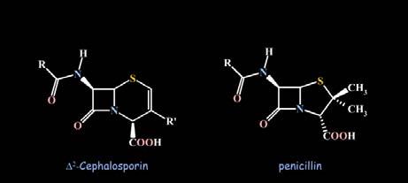 Hypothèse de travail: la stéréochimie de la pénicilline (fonction COOH) connue des structures obtenues par