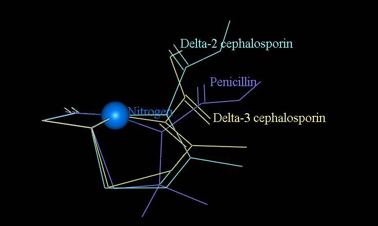 la Delta-2 l azote est planaire, au contraire de la pénicilline et la Delta-3; l