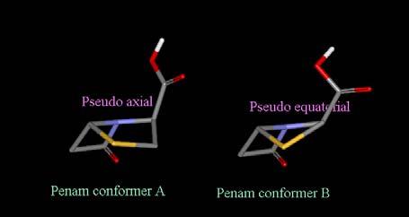 Hypothèse de travail: la conformation bioactive des pénicillines? Les conformères du Penam bicycliques: mouvements de pseudorotation.
