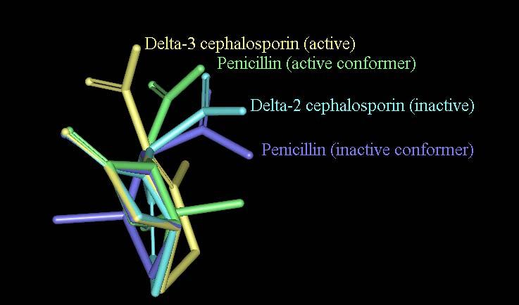 Hypothèse de travail: la conformation bioactive des pénicillines?