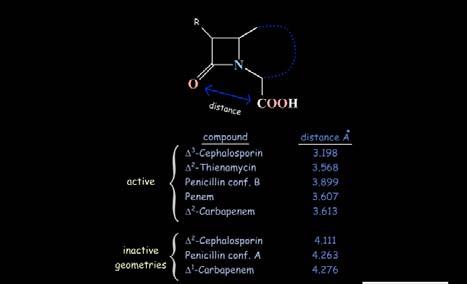 pénicilline dans son orientation pseudoéquatoriale Hypothèse de travail: séparation des molécules actives et inactives: les