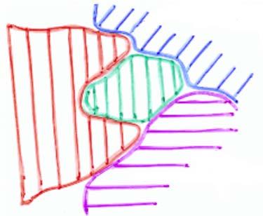1.2. Structure de la membrane 1.2.1. Les lipides en phase aqueuse 1.2.1.1. Polymorphisme lipidique Mélange de lipides: les lipides s'associent de sorte à échanger le maximum d'interactions