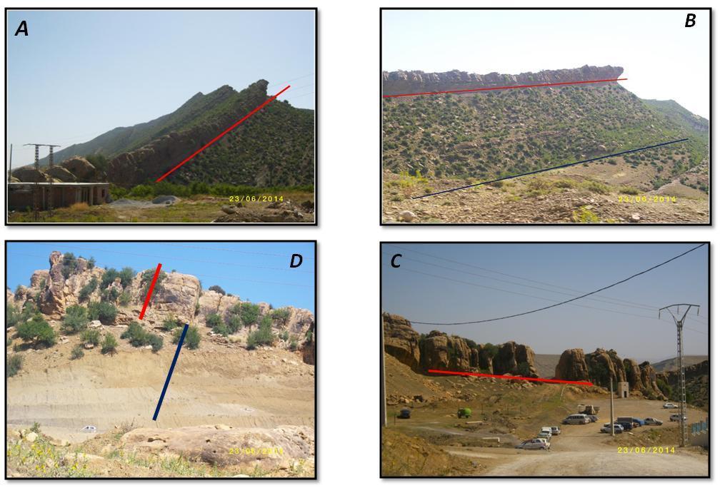 48: Photos prises sous différents angles montrant la discordance angulaire du Miocène sur les formations du Sénonien