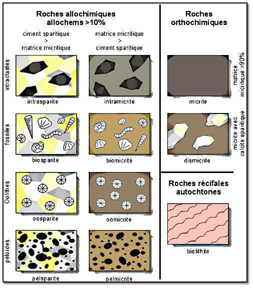 1.3.1. Classification de Folk On considère que les constituants majeurs des calcaires sont: - les "allochèmes" (grains, corpuscules, éléments figurés): les intraclastes: sédiments remaniés; les