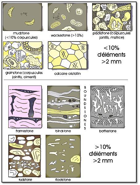 Fig. 61: Classification des roches calcaires selon Dunham (1962) et Embry & Klovan (1972). 1.4.