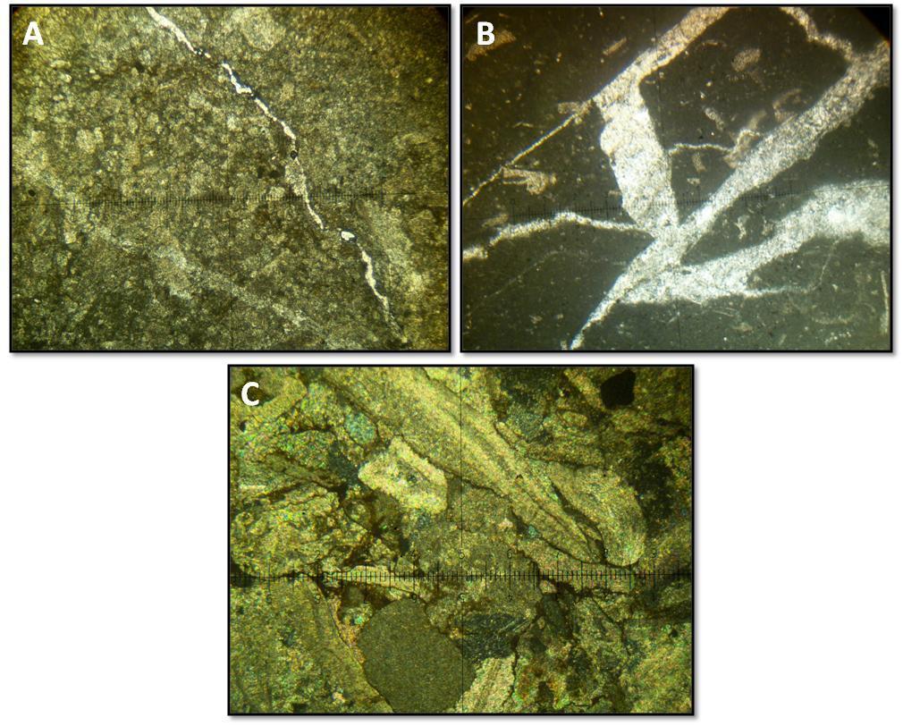 Mph.13: A : Microfissure vide, B : fissures conjuguées remplies de calcite et C : oxydation affectant les contacts des grains. 4.