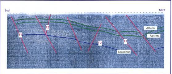 Fig.111 : Section D Le profil 71 AB 05 (Fig.112) Ce profil de direction NW-SE est d une longueur de 18 Km environ recoupe l anticlinal de Dj. Amrane.