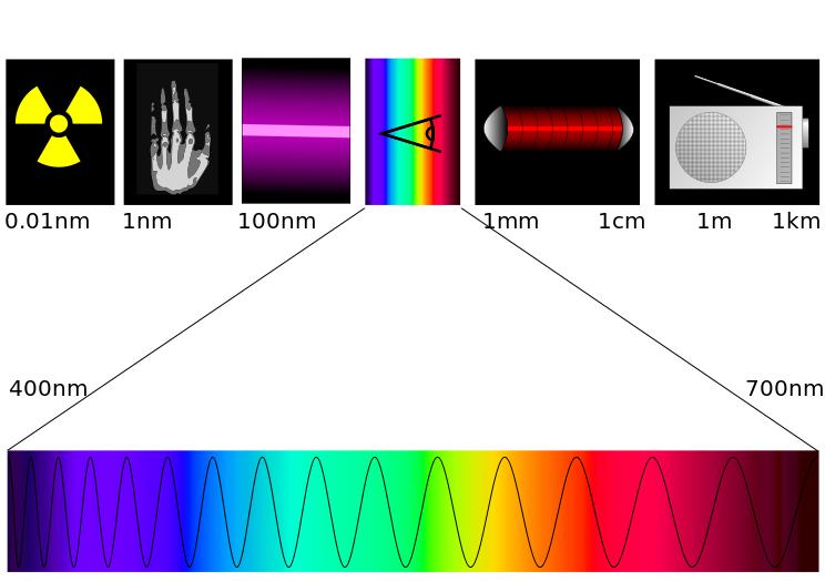 Le spectre visible : Si on est observateur, on voit que la lumière blanche décomposée donne toujours les mêmes couleurs, toujours dans le même ordre. Et ce sont les mêmes que celles des arcs-enciel!