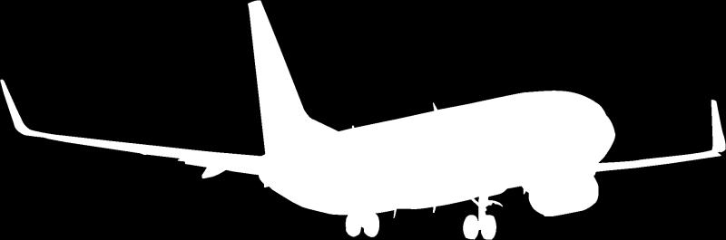 1 BOEING 737-800 Sièges passagers : 186 Vitesse : 850 Km/h Envergure : 35.8 m Longueur totale : 39.
