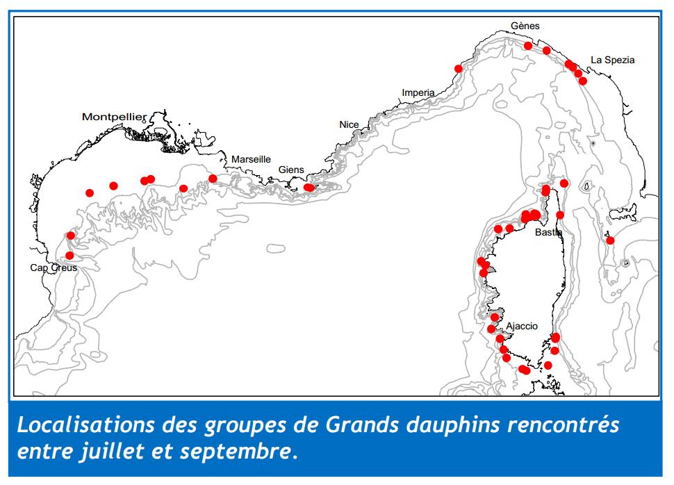 Contexte Etat des connaissances WWF-France (2000) Evaluation des populations estivales de Grands Dauphins le long