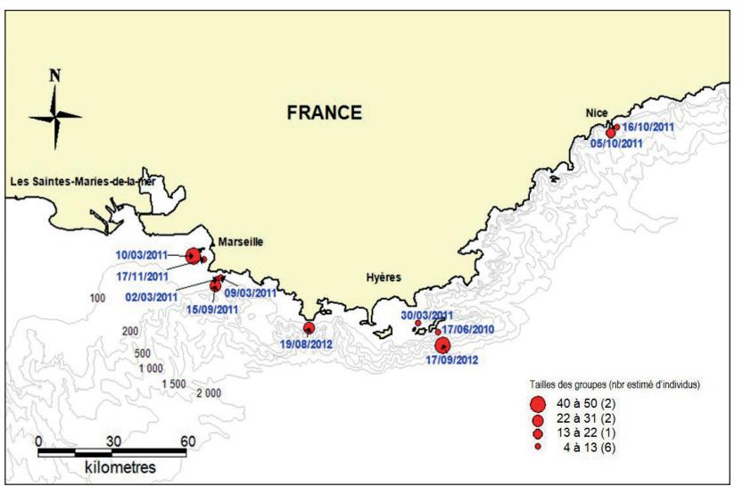 Contexte Etat des connaissances Etudes du grand Dauphin par le GECEM depuis les années 90 principalement en Corse et depuis 2008 en Provence avec un effort centré dans le secteur des îles d Hyères