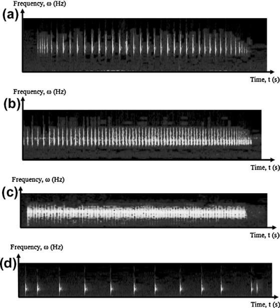 Identification des sons par des méthodes automatiques Acoustic classification of Australian anurans based on hybrid spectral-entropy approach 9 espèces de grenouille Australiennes Utilisation de