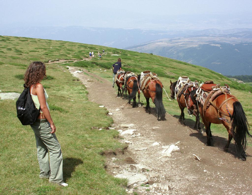 www.bulgariatravel.org Les amoureux de la nature peuvent profiter des randonnées équestres.