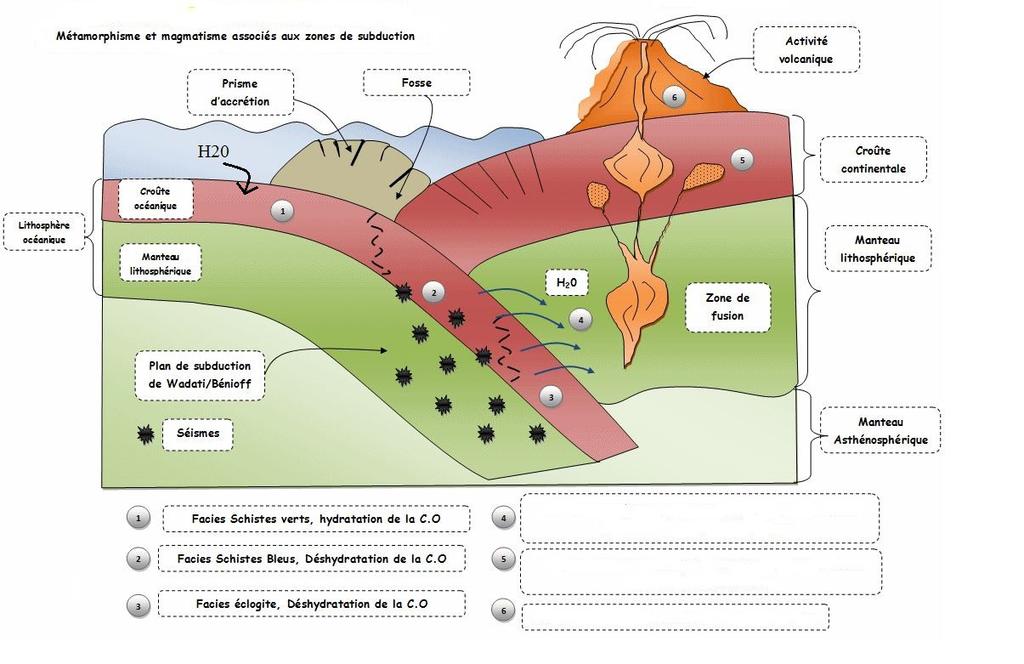 IV- La production de croûte continentale dans les zones de subduction TP14 : Le magmatisme des zones de subduction Mots à utiliser : hydratés, viscosité, profondeur, deshydratation, accrétion,
