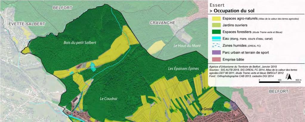 Occupation du sol > Une forêt bien présente ; 45 % d espaces boisés : bois du Petit Salbert, Le Coudrai, Le