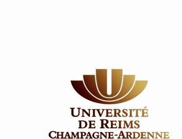 Page 1/6 Université de Reims Champagne Ardenne Faculté des Sciences Économiques, Sociales et de Gestion Diplôme et année d études : M1 FFC DFCGA SESSION DE DÉCEMBRE 2015 Épreuve de : comptabilité