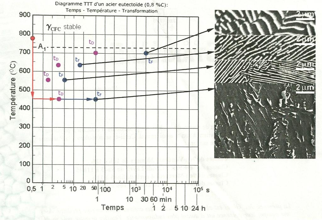 Échantillon => 100% de perlite fine (α + Fe3C) ayant une dureté de 40 HRC