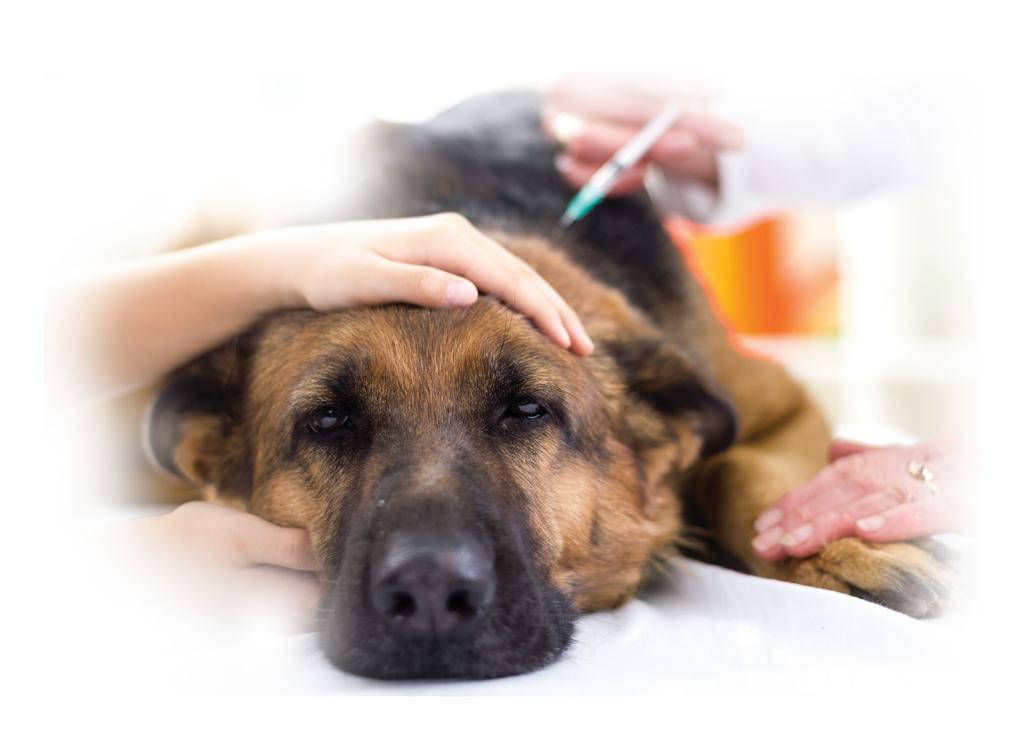 LE SPÉCIALISTE DE L ASSURANCE SANTÉ ANIMALE Reconnu de la profession vétérinaire, Vetassur est le spécialiste de l assurance santé animale : 90 % des vétérinaires recommandent (1) cette assurance.