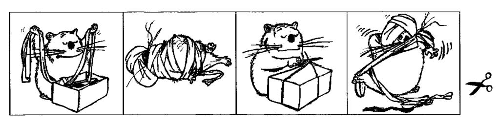 Exercice n 6 : Le castor et sa boîte surprise Compétences : Item 1 : Remettre en ordre des images représentant les différents épisodes d un récit simple.