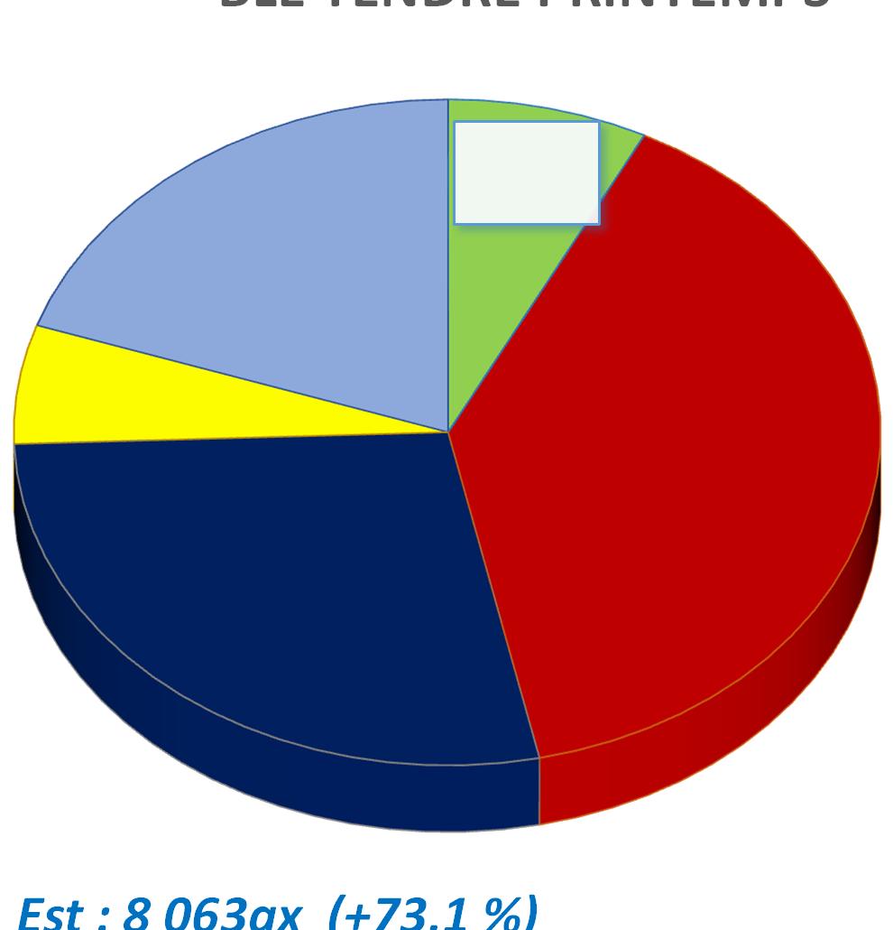 PRINTEMPS TOULOUSE 1% ANGERS 4% 438 961 qx LILLE 11% LYON 1% ORLEANS 13% Est : 8