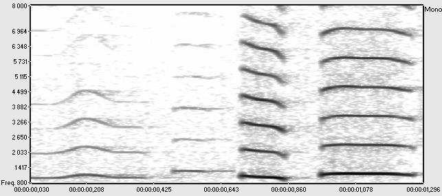 Figure 11 : Syllabes akha en feuille sifflée, enregistrées à 100 m (2 premières syllabes) et 10 m (2 suivantes) Comparaison du spectre de la feuille sifflée et de la voix parlée La dynamique de la